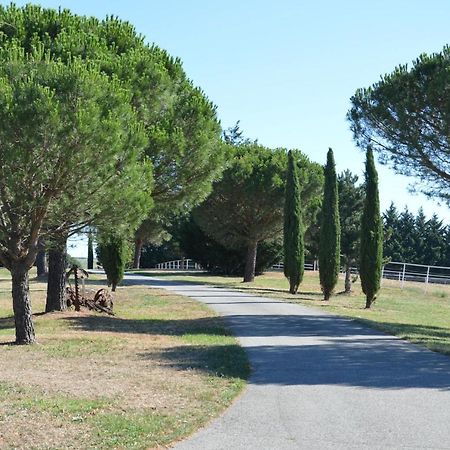 Les Moineaux Du Domaine Du Moulin Villa Etables  Eksteriør bilde