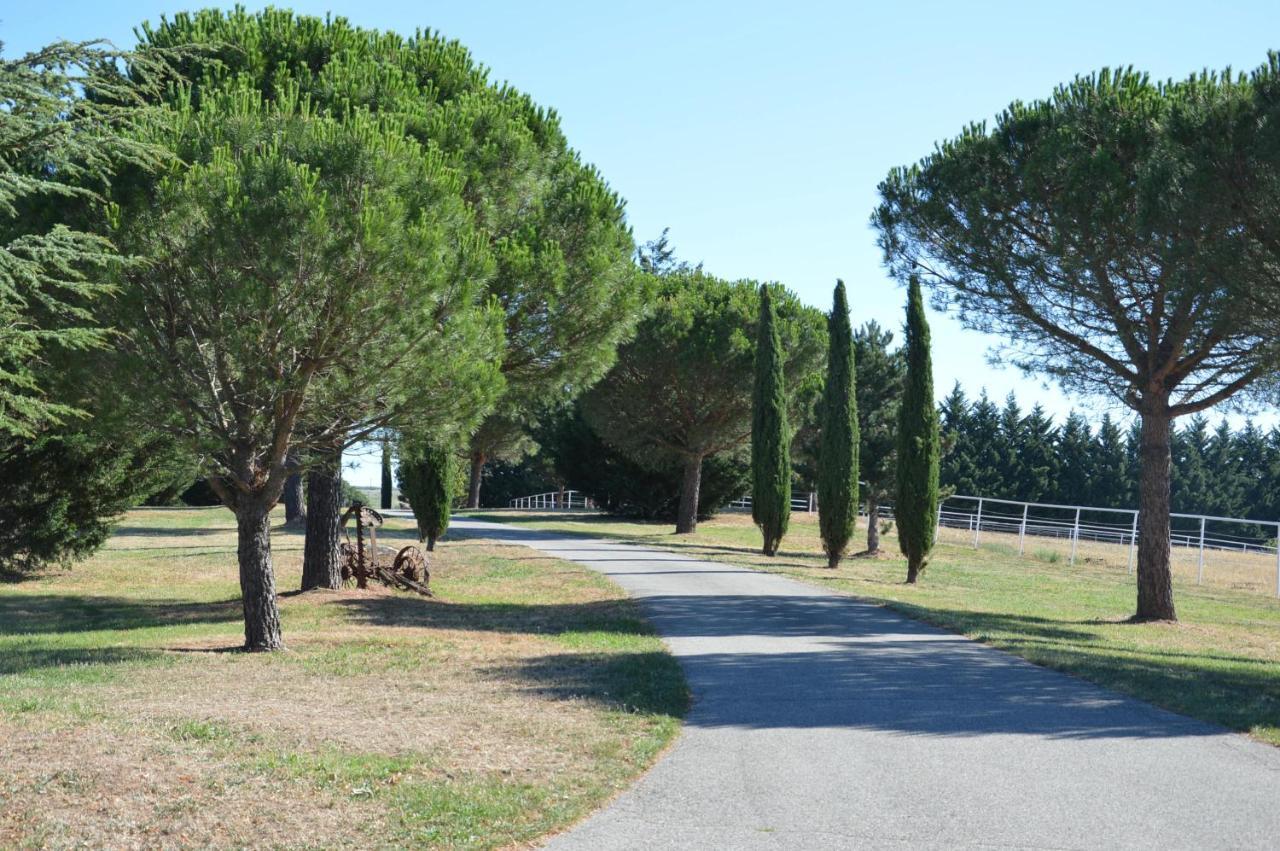 Les Moineaux Du Domaine Du Moulin Villa Etables  Eksteriør bilde