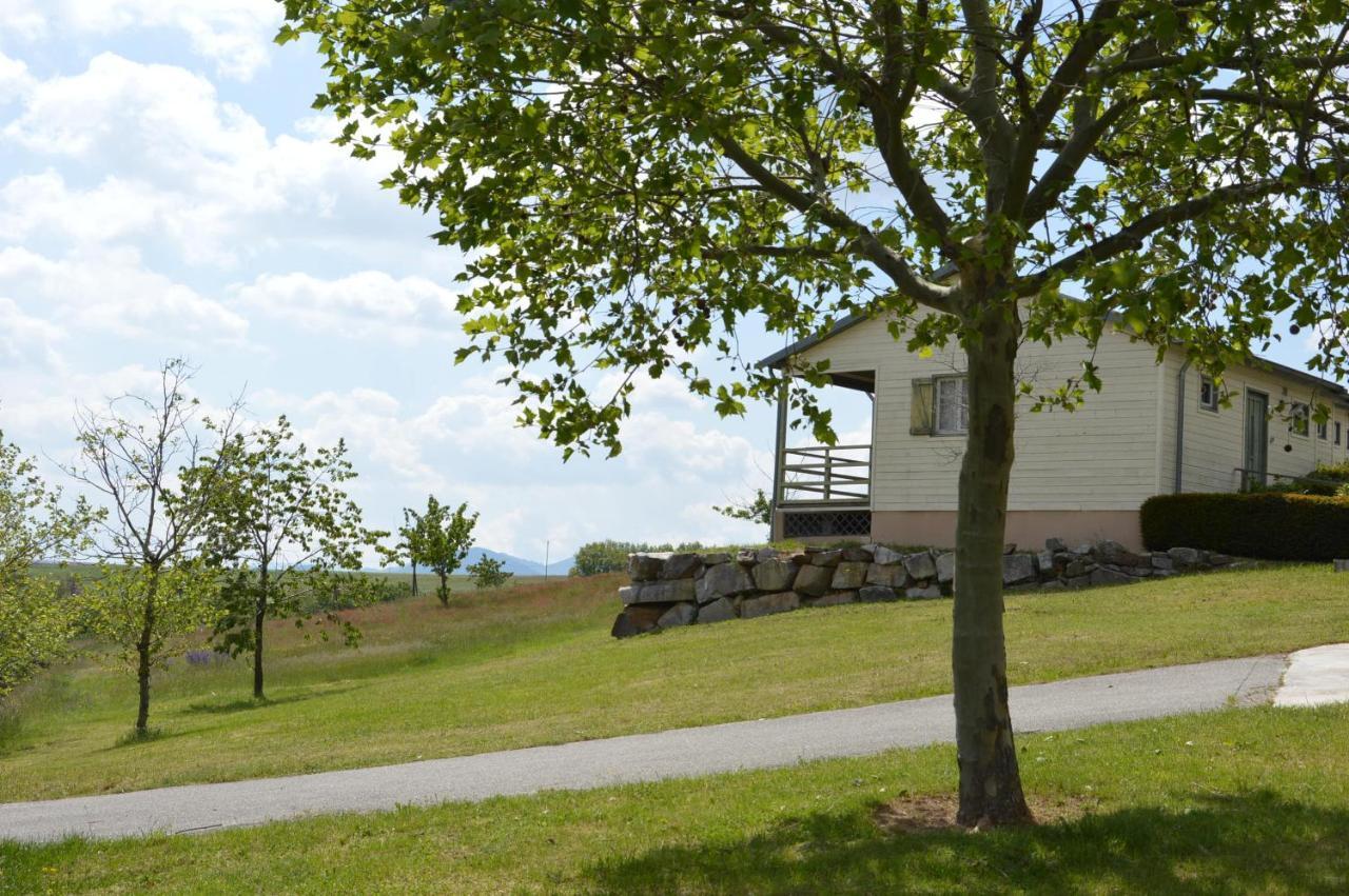 Les Moineaux Du Domaine Du Moulin Villa Etables  Eksteriør bilde